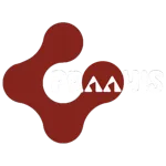 Praahis Logo